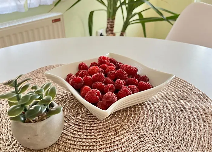 Rosic 아파트 Arilje