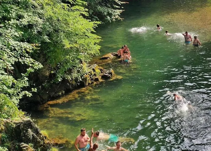 아파트 Rosic Arilje